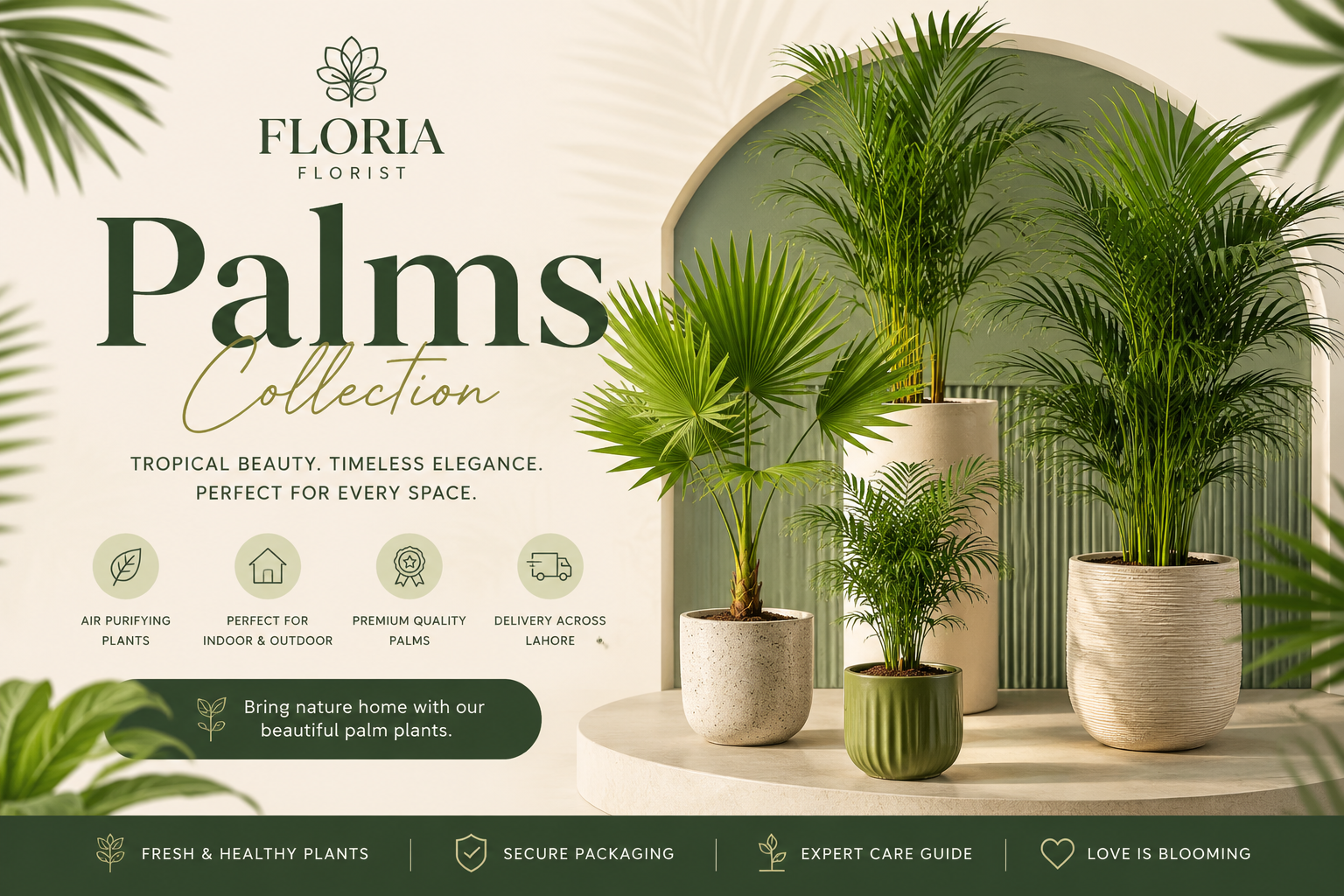 Palms