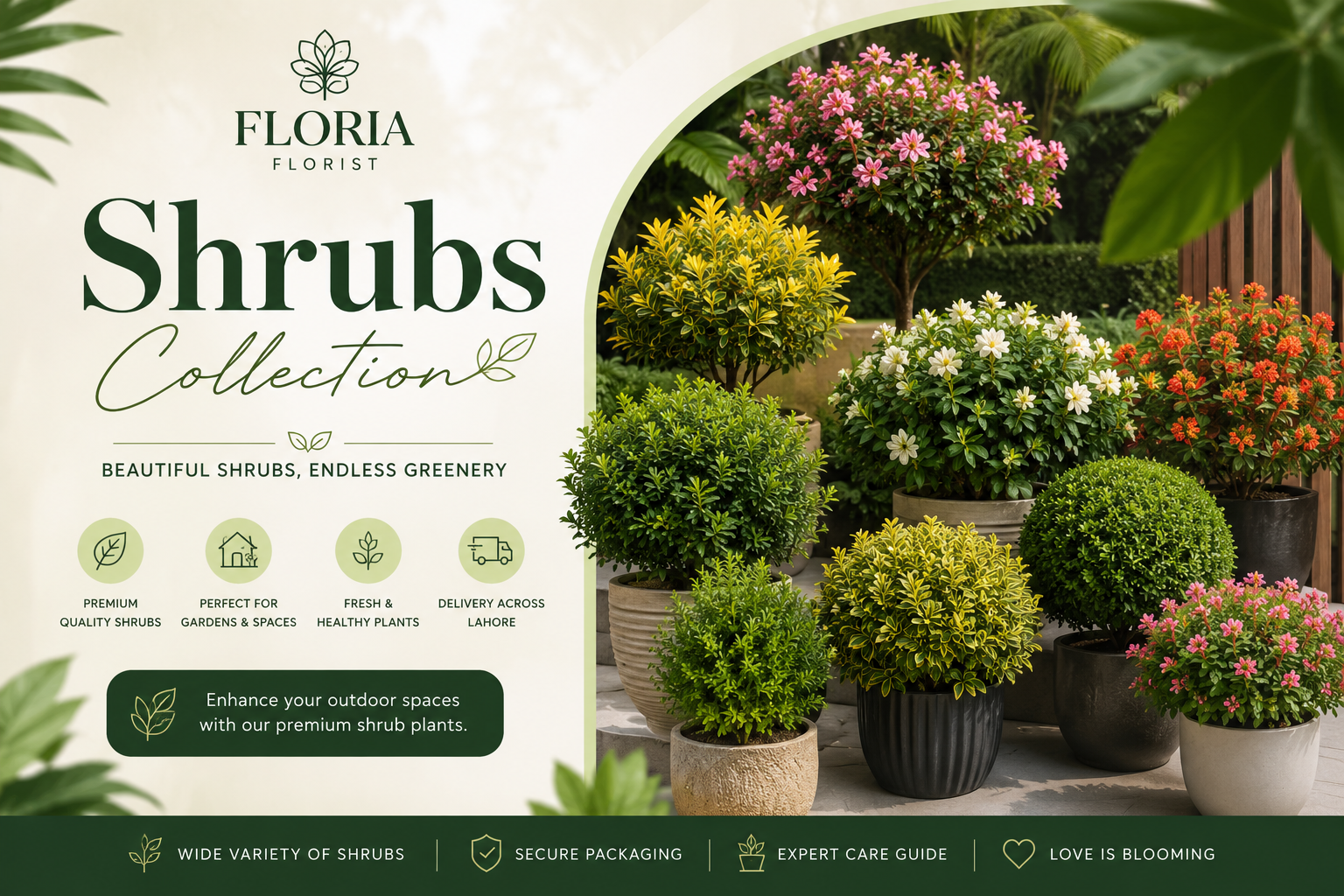 Shrubs
