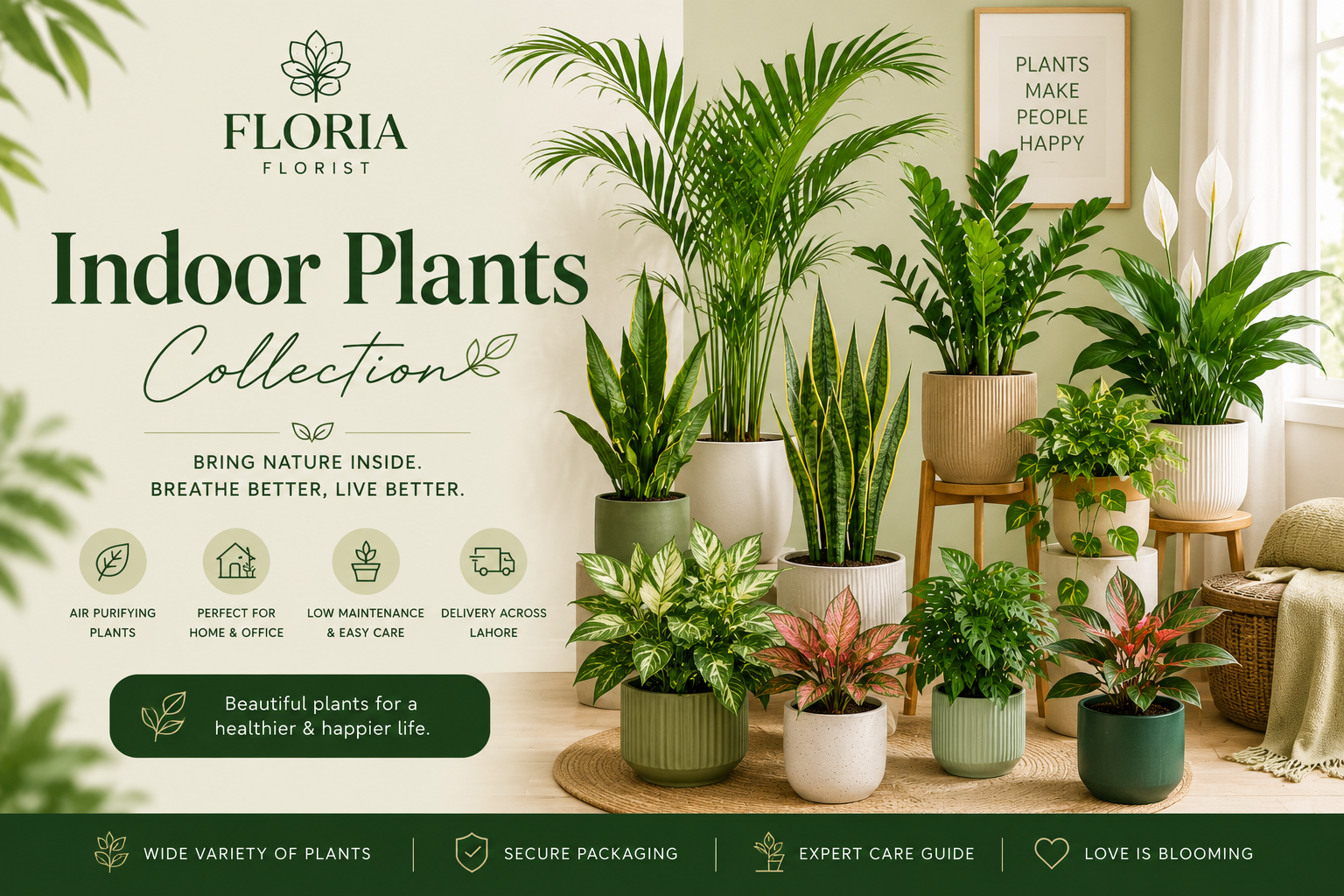 Indoor Plants