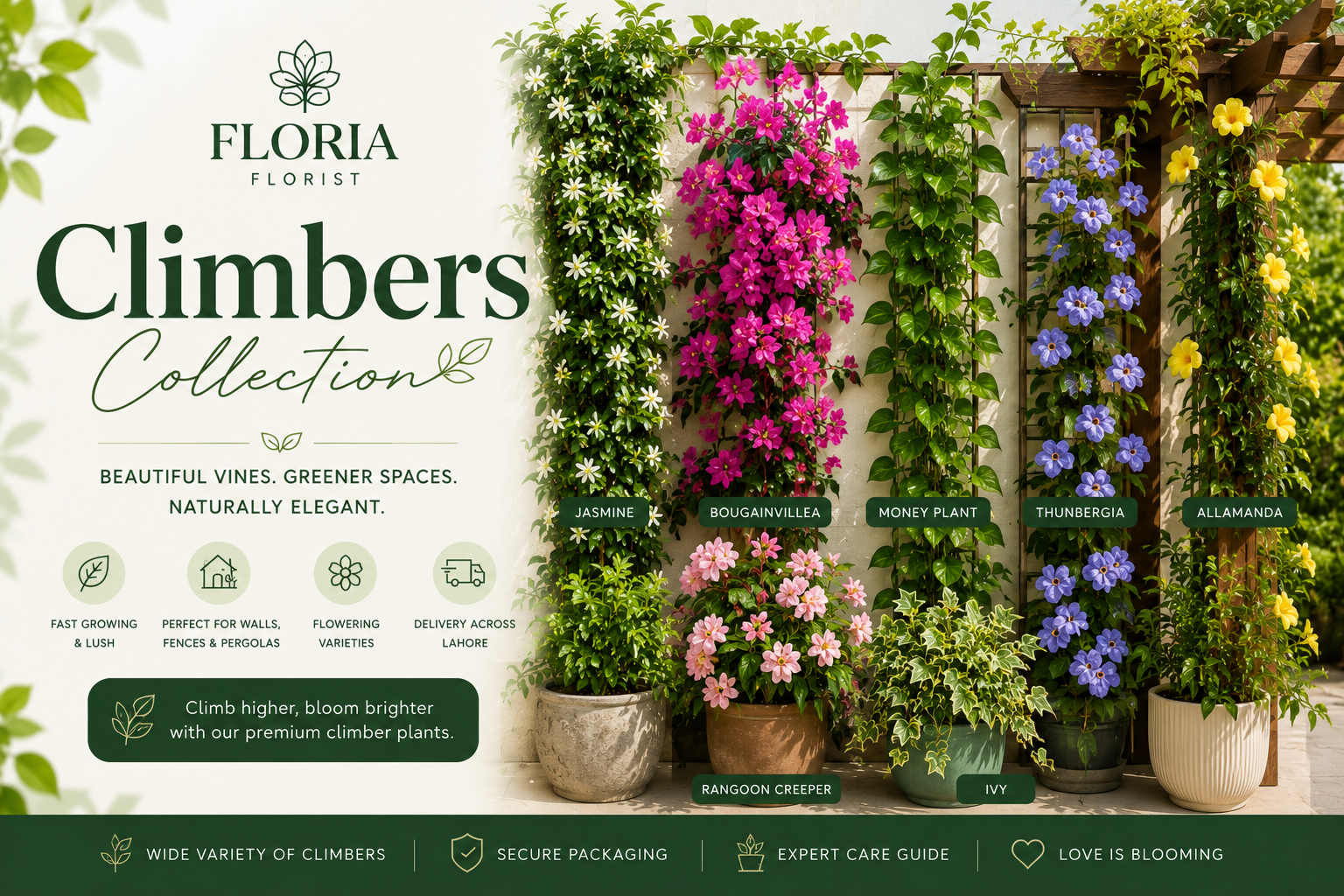 Climbers
