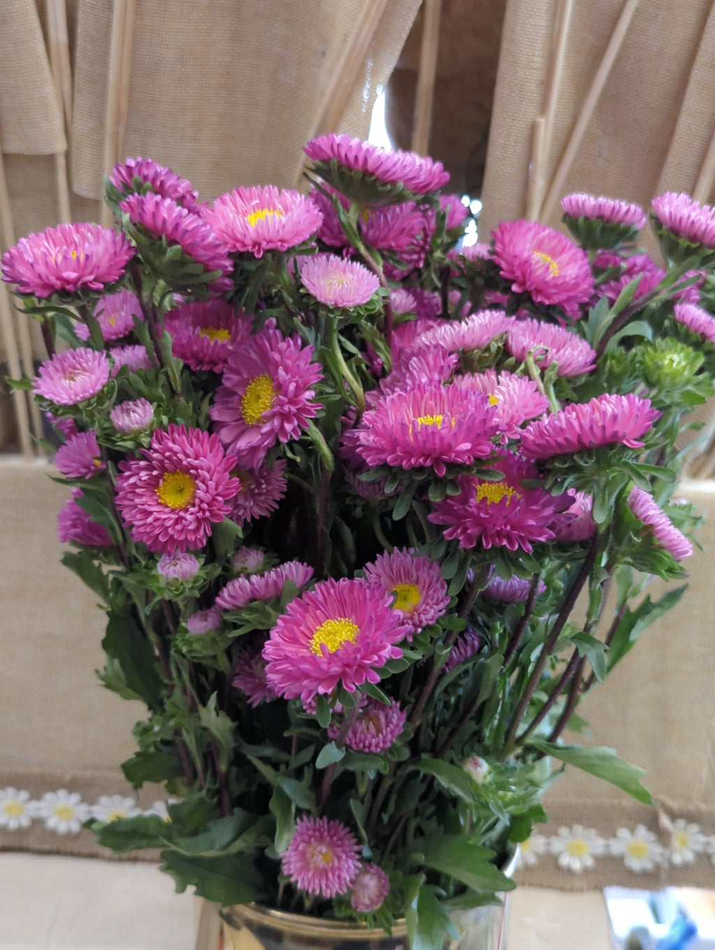 Fresh Imported Floral Stem – Premium Flower Delivery Lahore