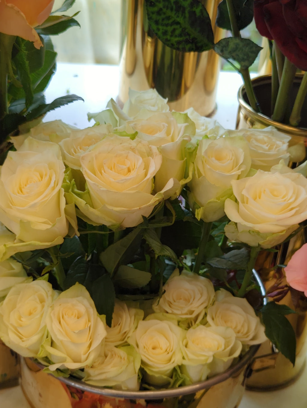 Fresh Imported Floral Stem – Premium Flower Delivery Lahore