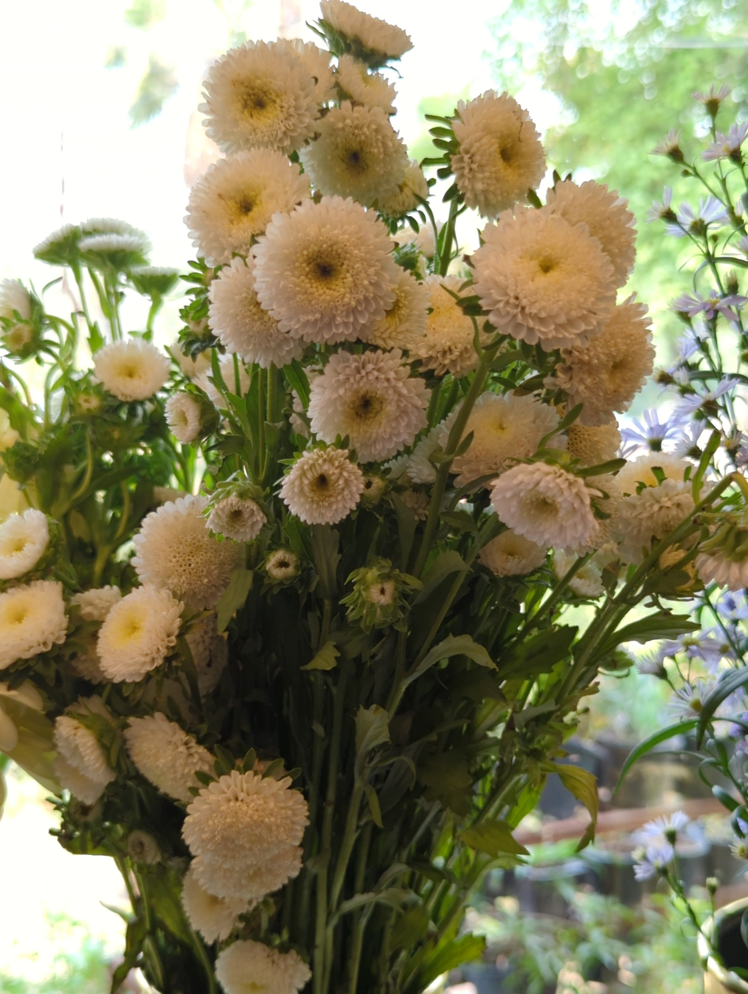 Fresh Imported Floral Stem – Premium Flower Delivery Lahore