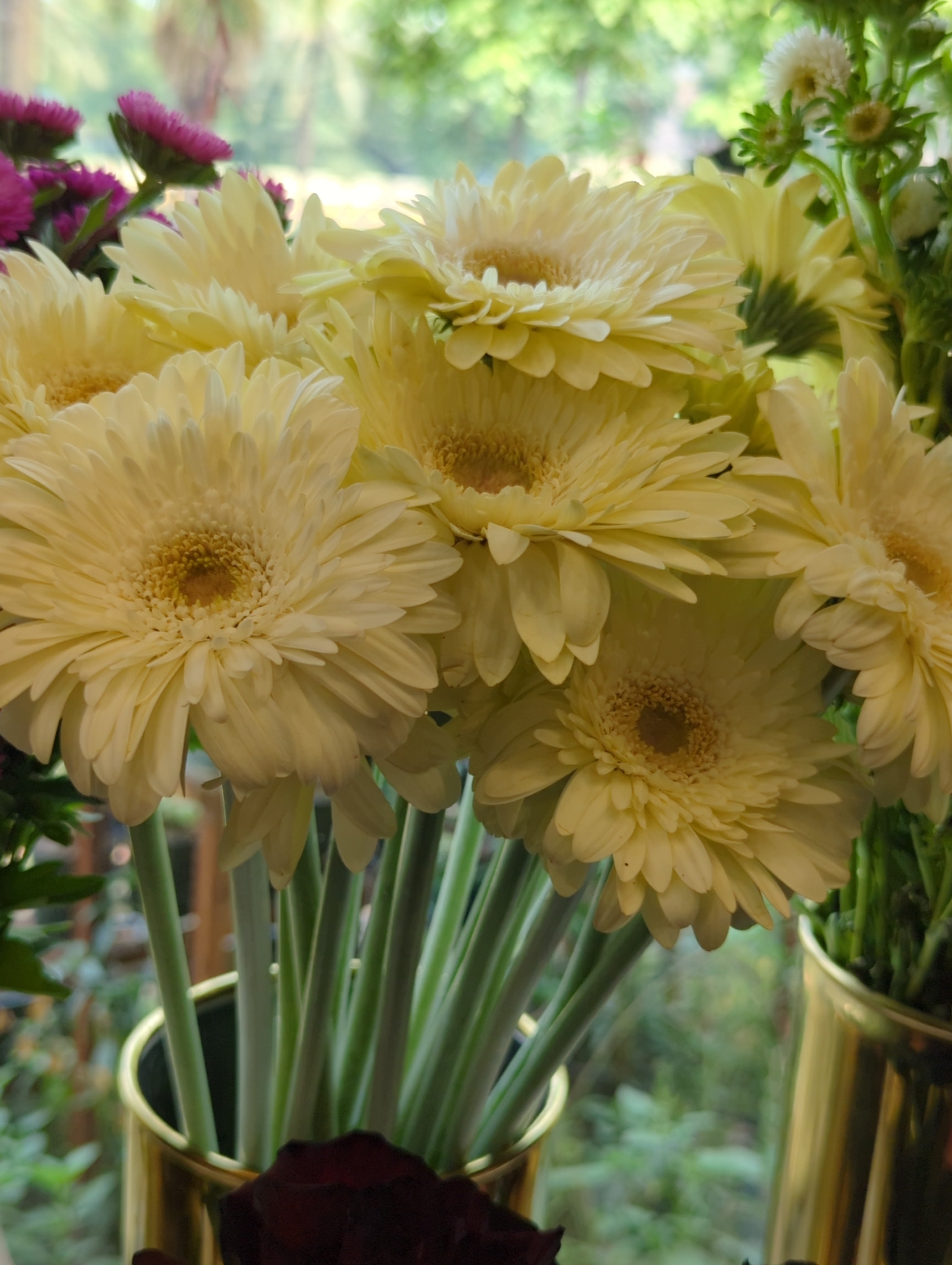 Fresh Imported Floral Stem – Premium Flower Delivery Lahore