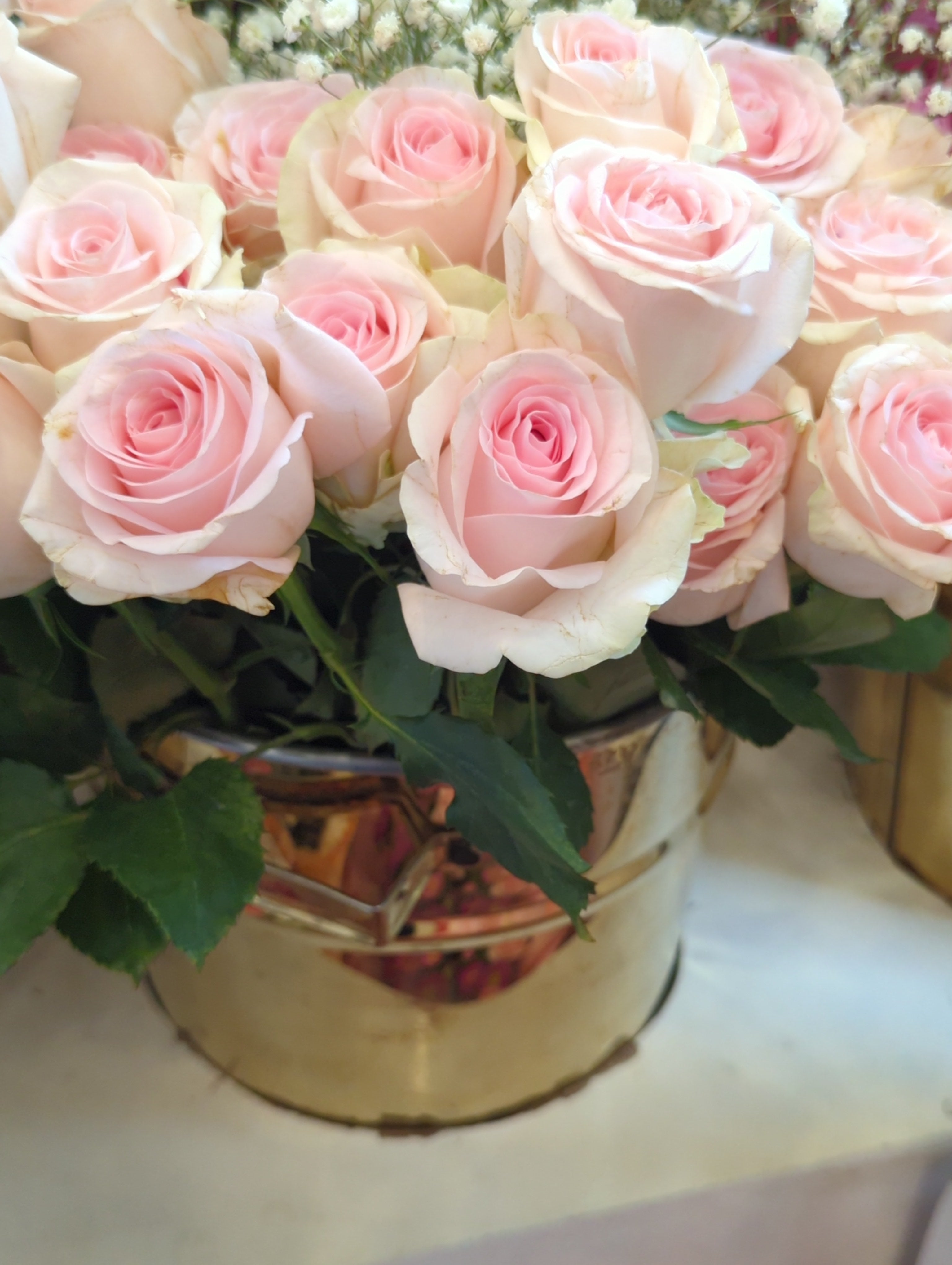 Fresh Imported Floral Stem – Premium Flower Delivery Lahore