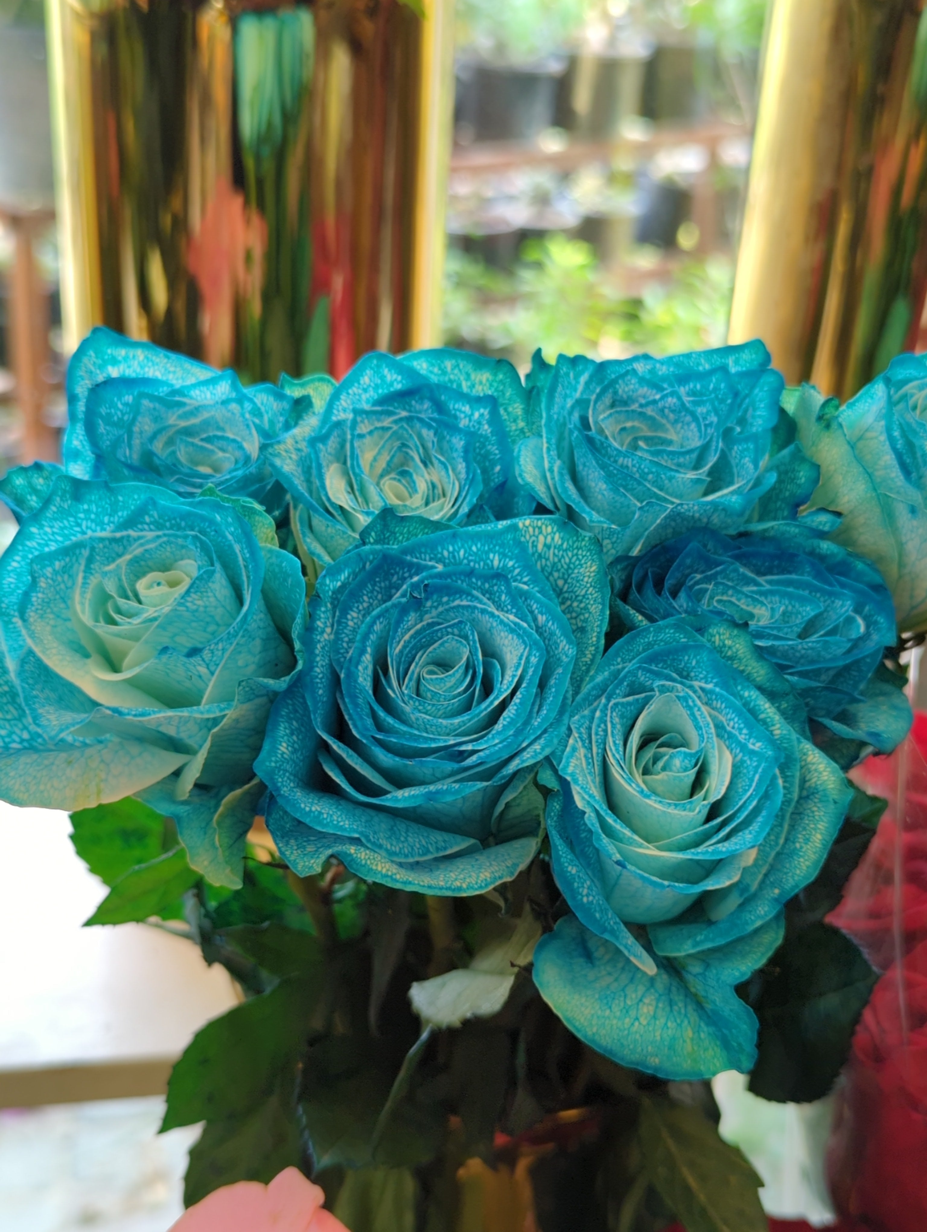Fresh Imported Floral Stem – Premium Flower Delivery Lahore