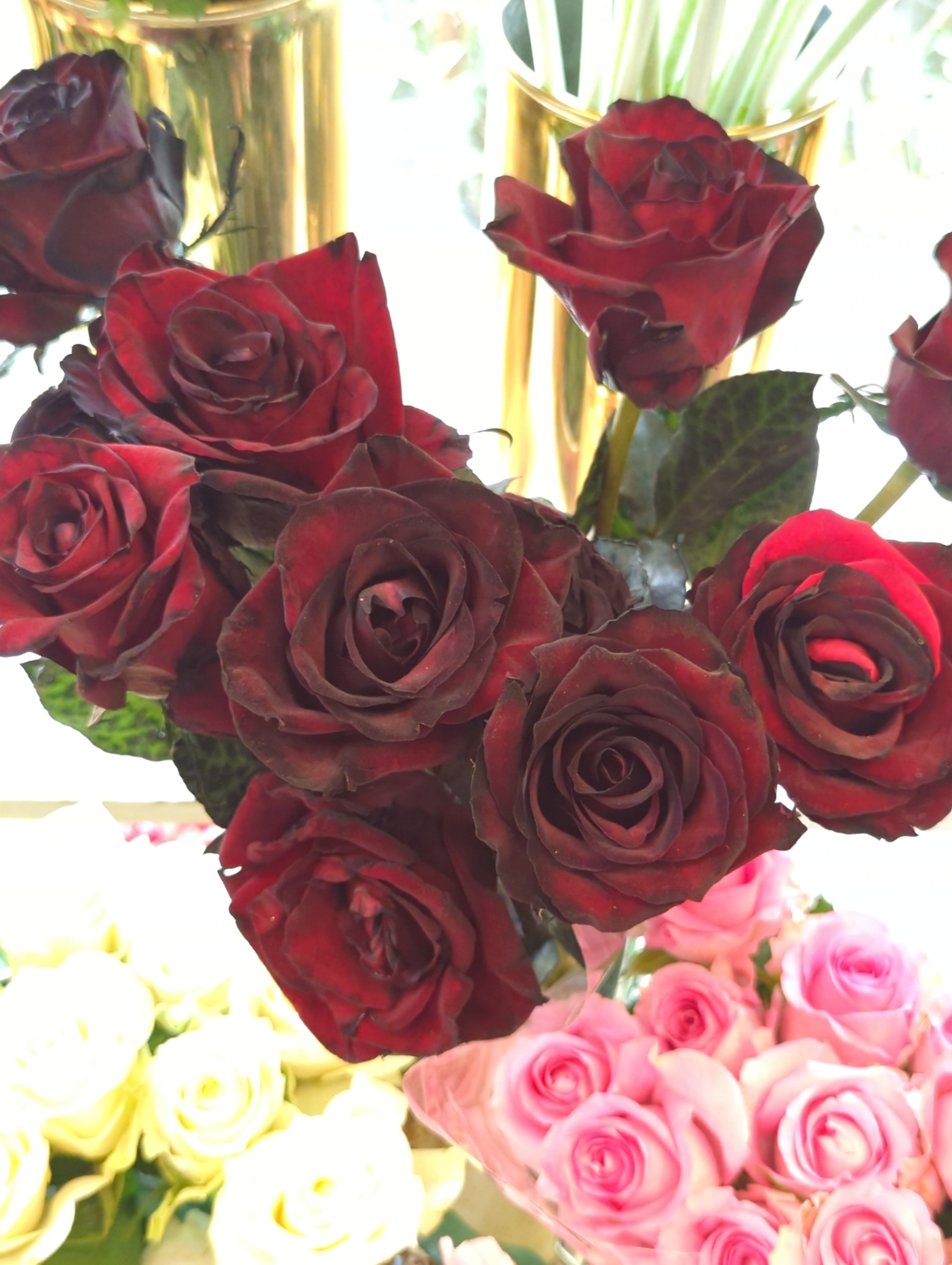 Fresh Imported Floral Stem – Premium Flower Delivery Lahore
