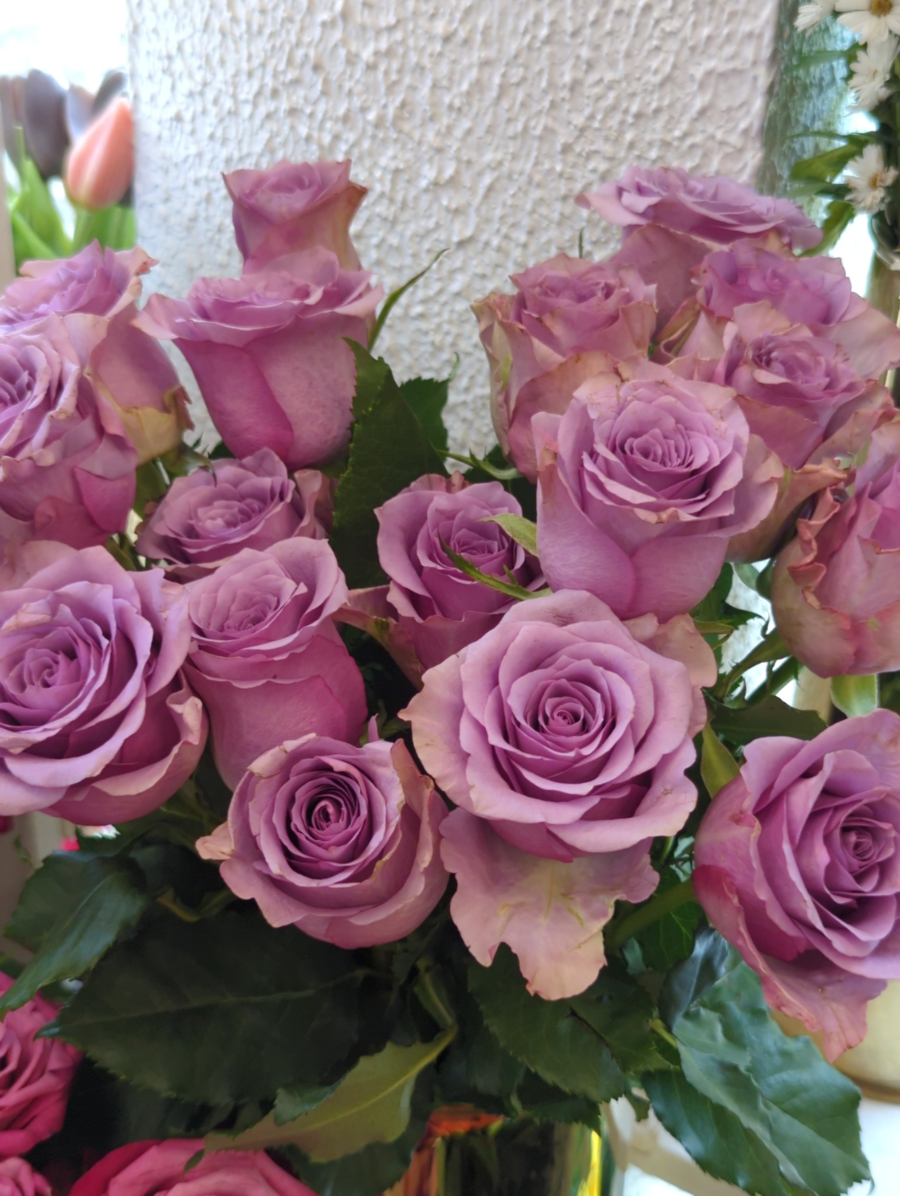 Fresh Imported Floral Stem – Premium Flower Delivery Lahore